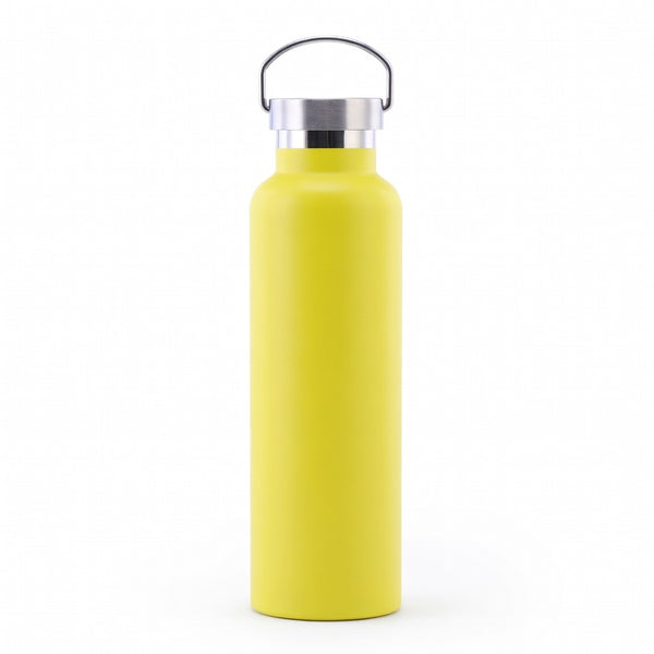 Wide Mouth Stainless Steel Bottle with Carry Handle