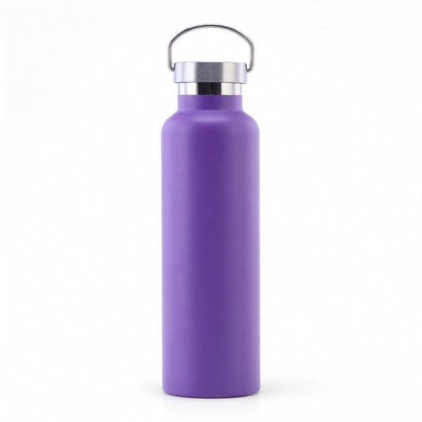 Wide Mouth Stainless Steel Bottle with Carry Handle