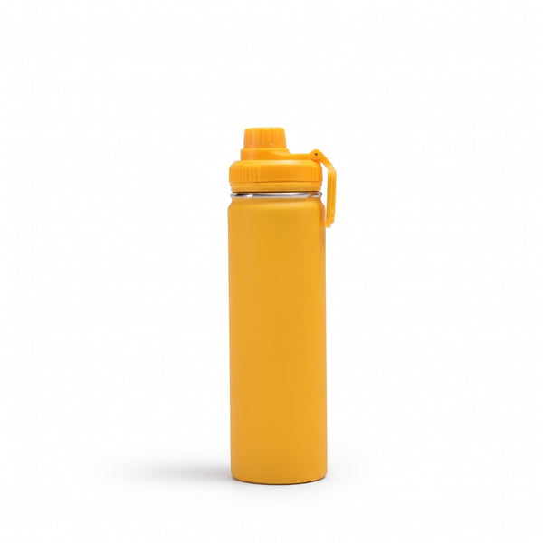 Carry Handle Insulated Outdoor Water Bottle