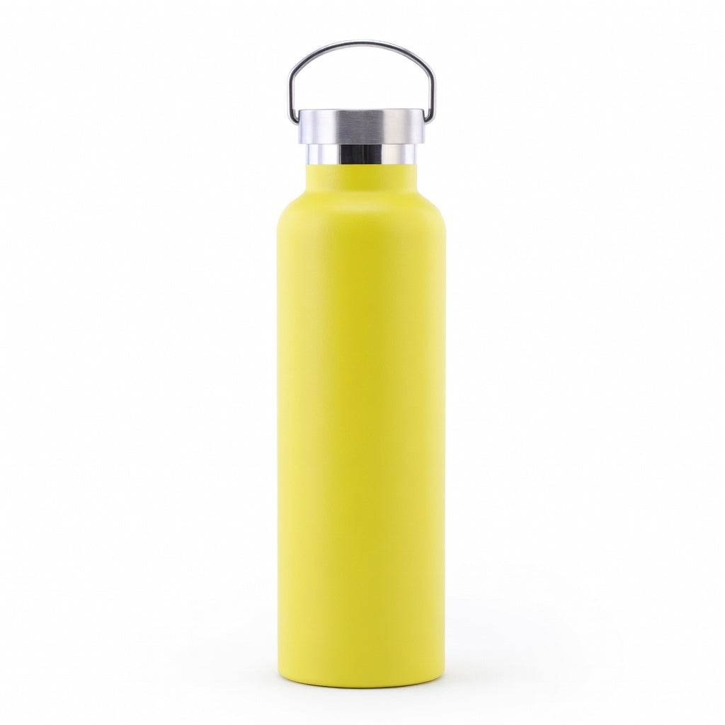 Wide Mouth Stainless Steel Bottle with Carry Handle