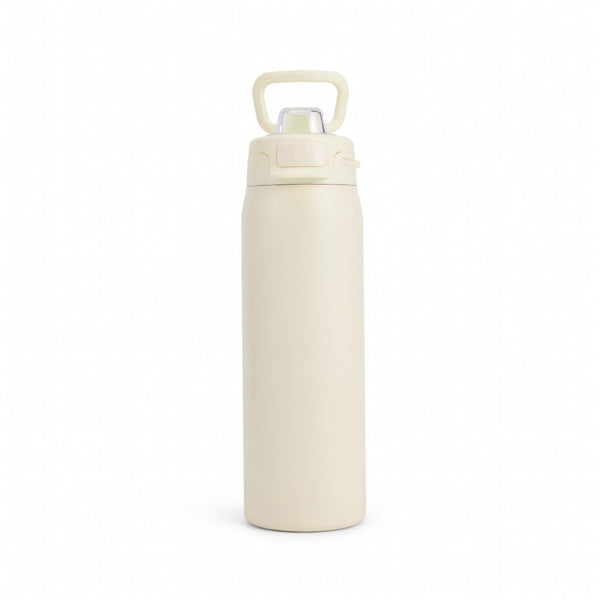 Matte Carry Handle Water Bottle