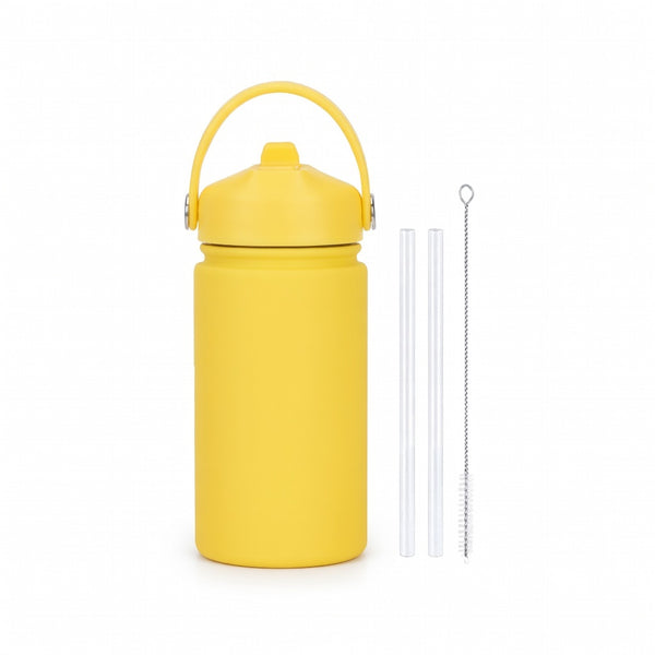 316L Stainless Steel Straw Lid Bottle