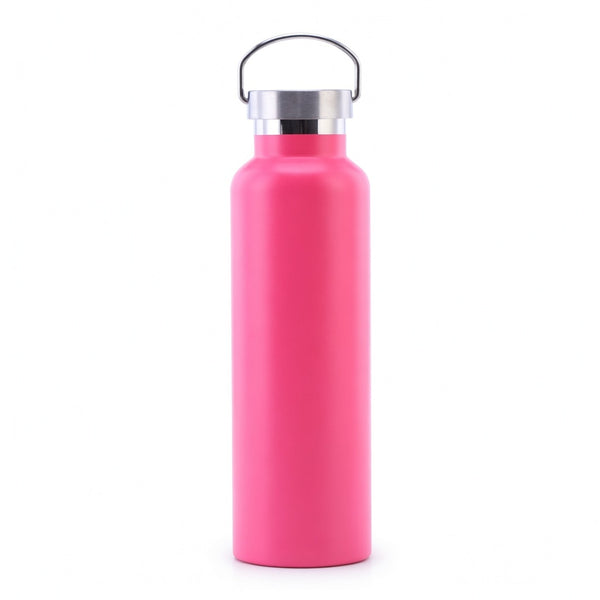 Wide Mouth Stainless Steel Bottle with Carry Handle