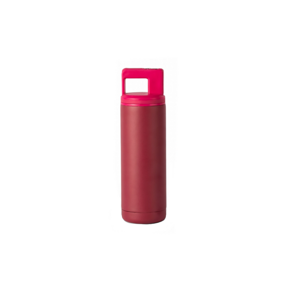 Carry Handle Straw Lid Water Bottle