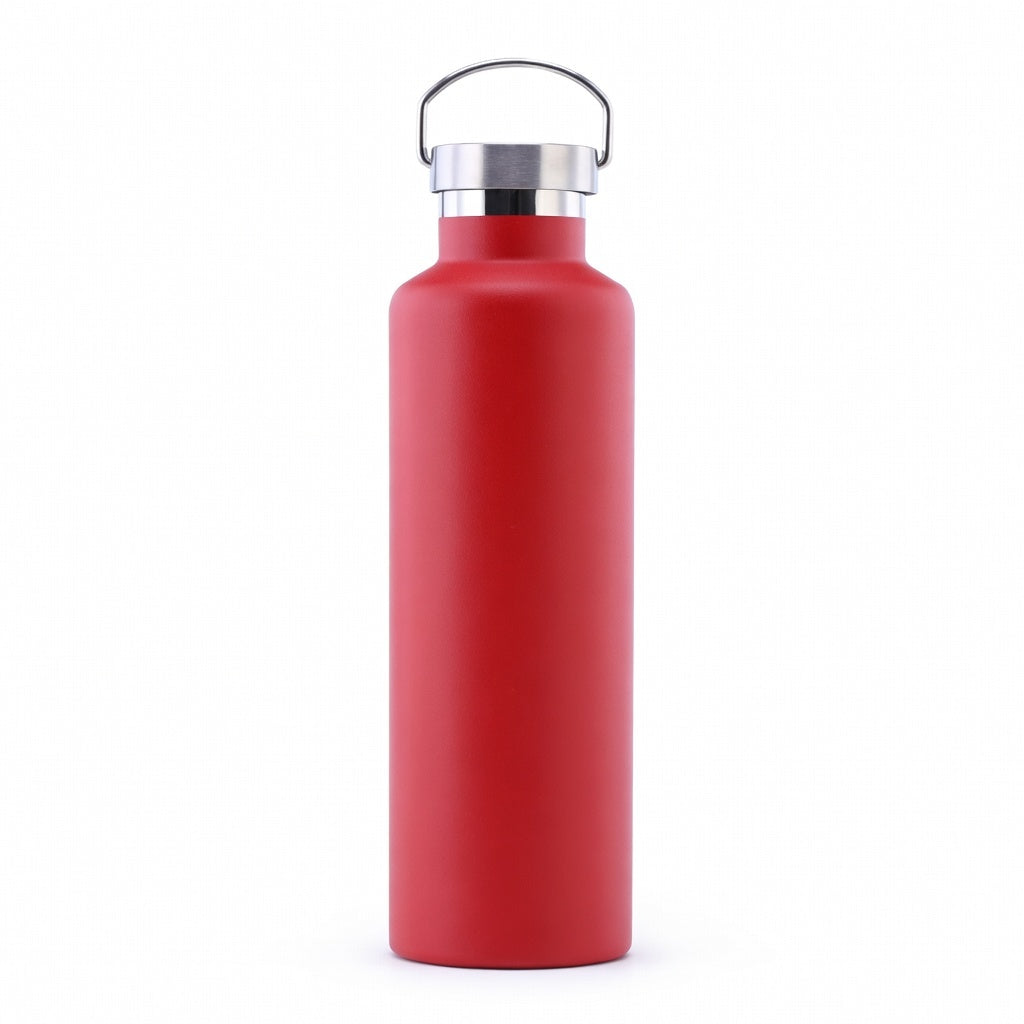 Wide Mouth Stainless Steel Bottle with Carry Handle