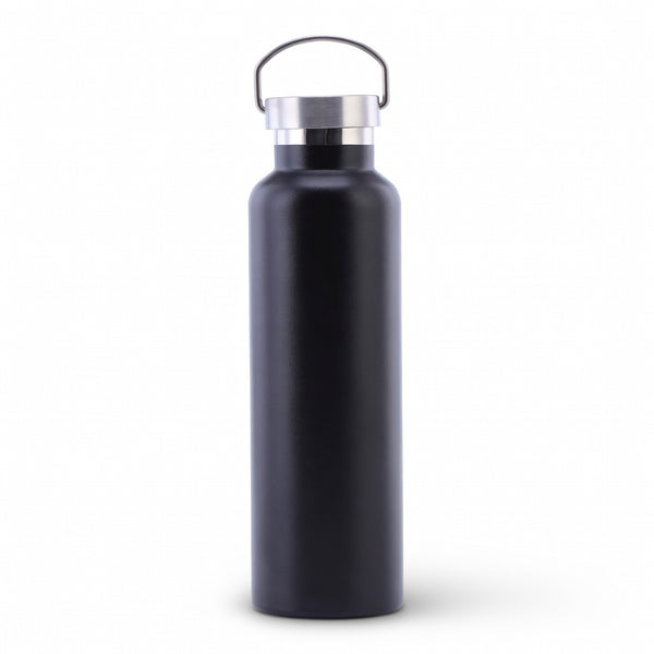 Wide Mouth Stainless Steel Bottle with Carry Handle