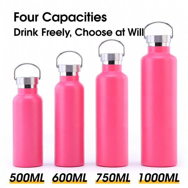 Wide Mouth Stainless Steel Bottle with Carry Handle
