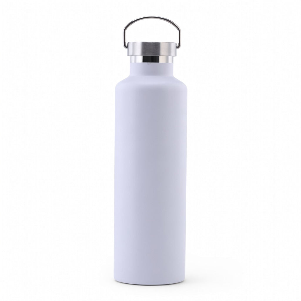Wide Mouth Stainless Steel Bottle with Carry Handle