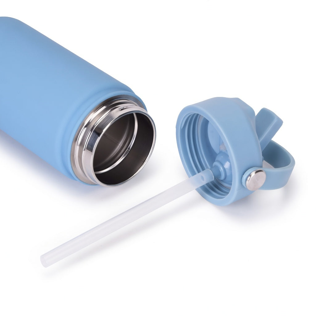 316L Stainless Steel Straw Lid Bottle