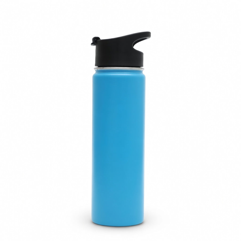 Insulated Carry Handle Water Bottle 22oz