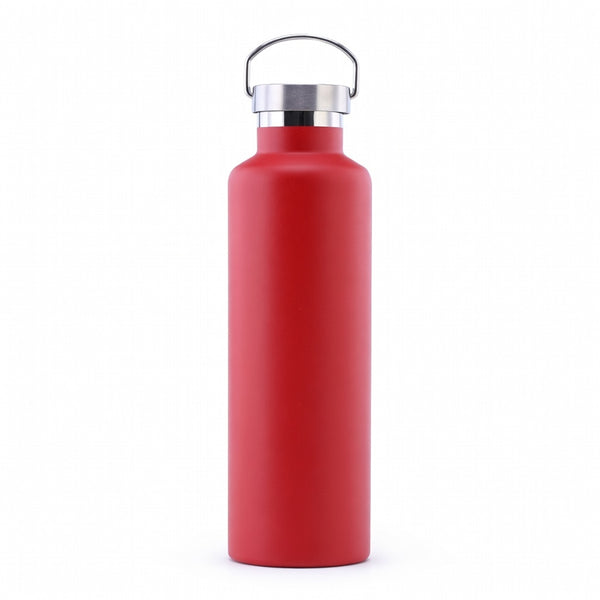 Wide Mouth Stainless Steel Bottle with Carry Handle