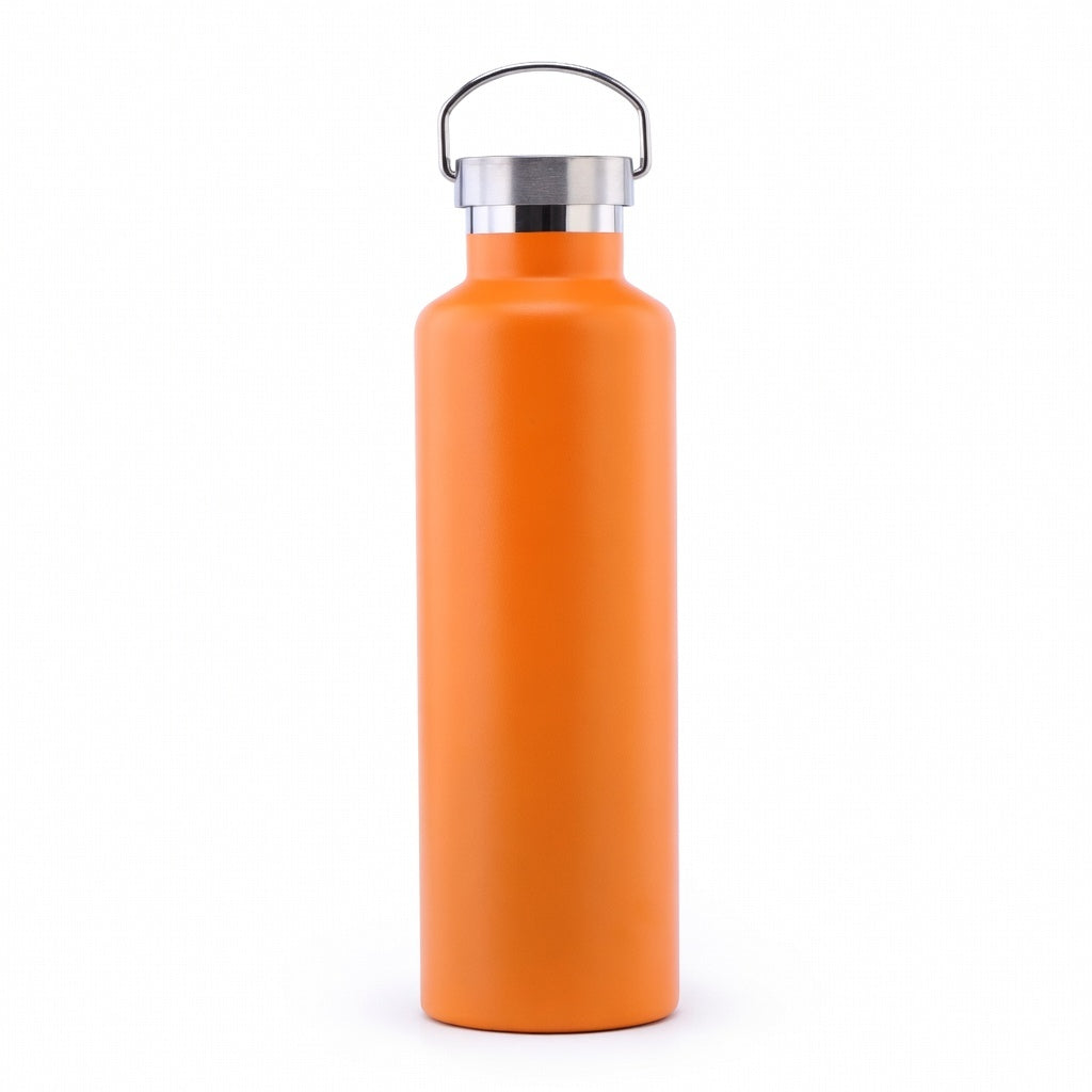 Wide Mouth Stainless Steel Bottle with Carry Handle