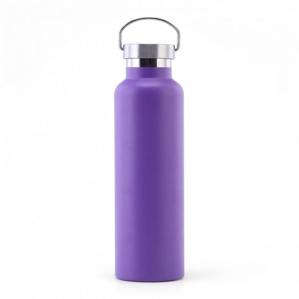 Wide Mouth Stainless Steel Bottle with Carry Handle