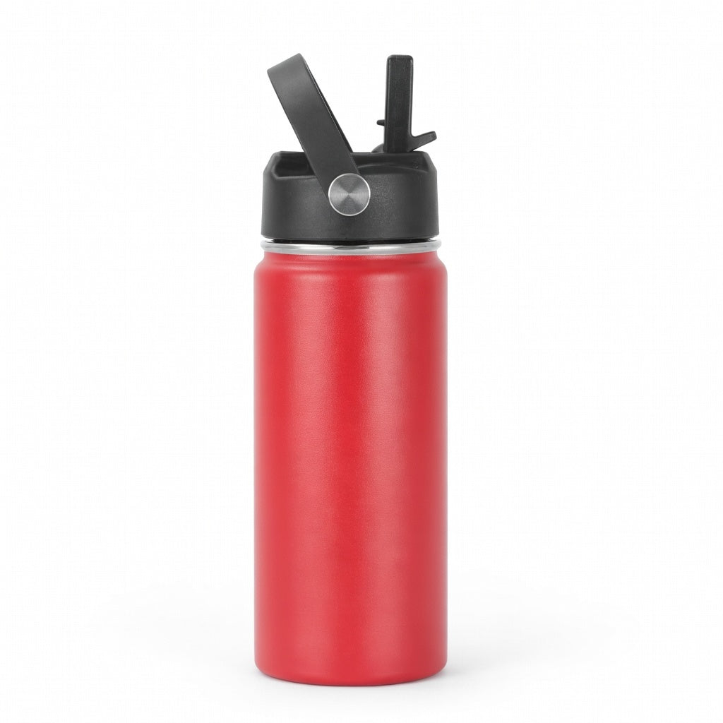 Straw Lid Insulated Water Bottle with Carry Handle