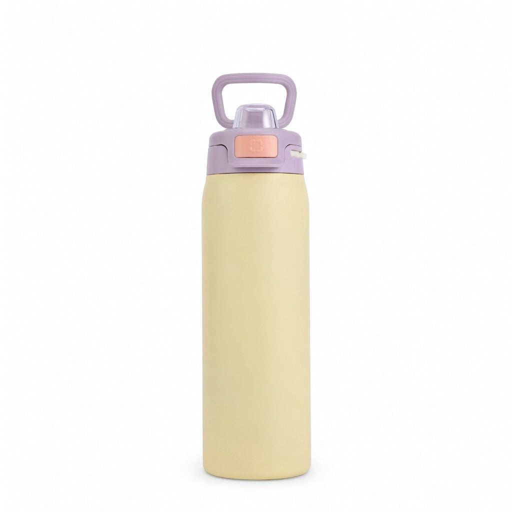 Matte Carry Handle Water Bottle