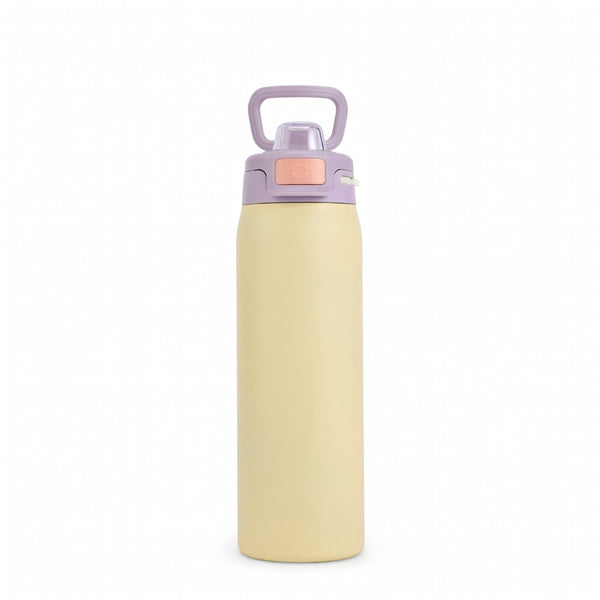 Matte Carry Handle Water Bottle