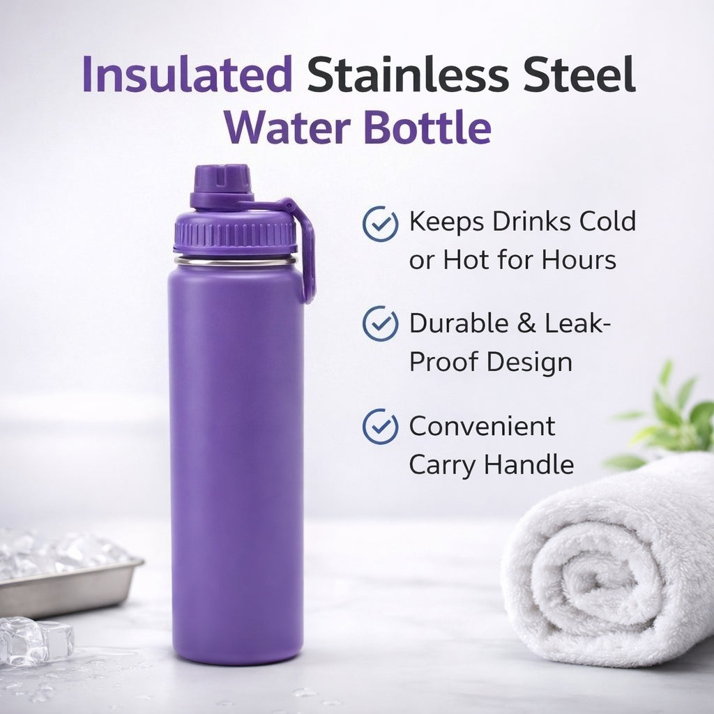 Carry Handle Insulated Outdoor Water Bottle