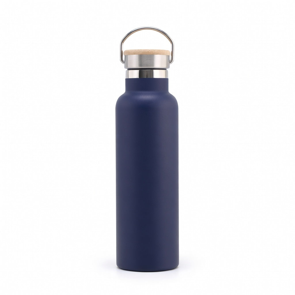 Wide Mouth Stainless Steel Bottle with Carry Handle