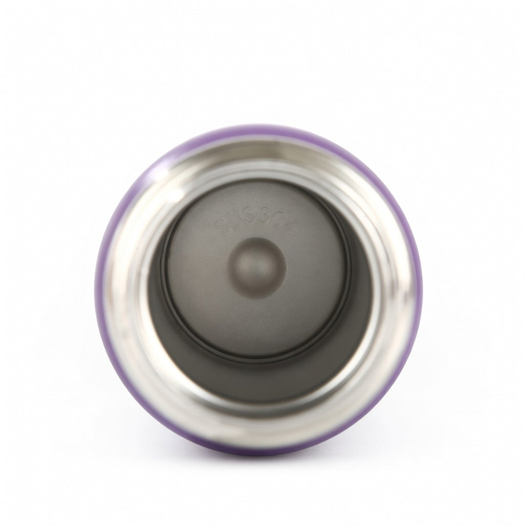 Carry Handle Insulated Spout Water Bottle