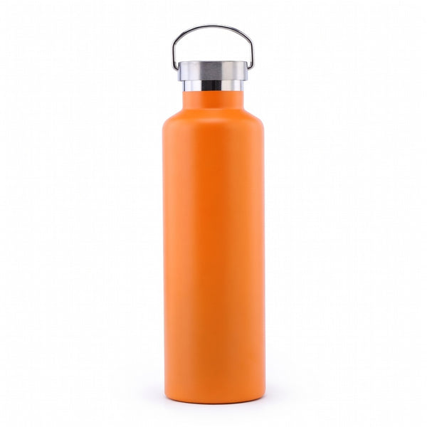 Wide Mouth Stainless Steel Bottle with Carry Handle
