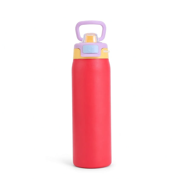 Matte Carry Handle Water Bottle
