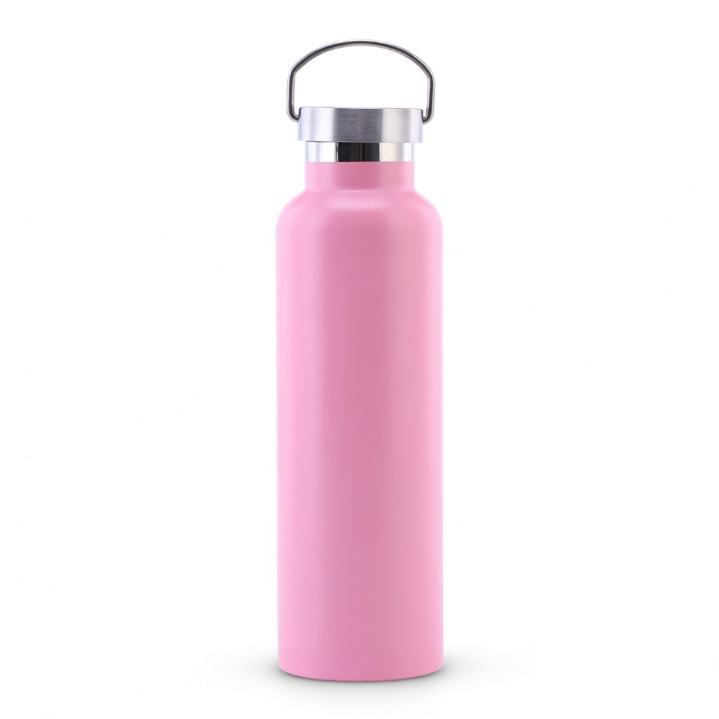 Wide Mouth Stainless Steel Bottle with Carry Handle