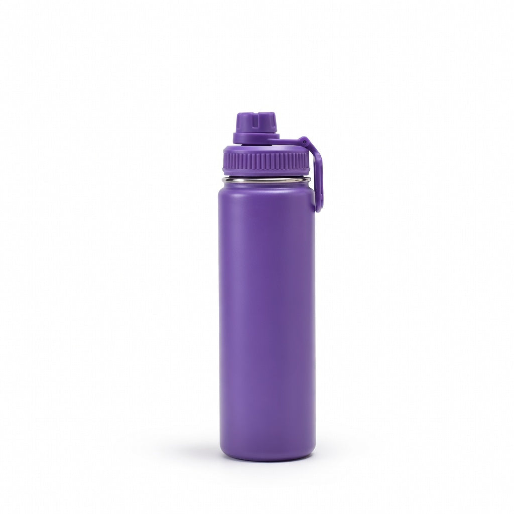 Carry Handle Insulated Outdoor Water Bottle