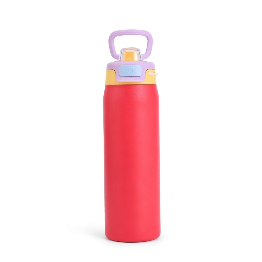 Matte Carry Handle Water Bottle