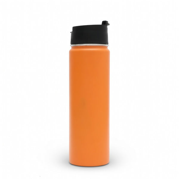 Insulated Carry Handle Water Bottle 22oz